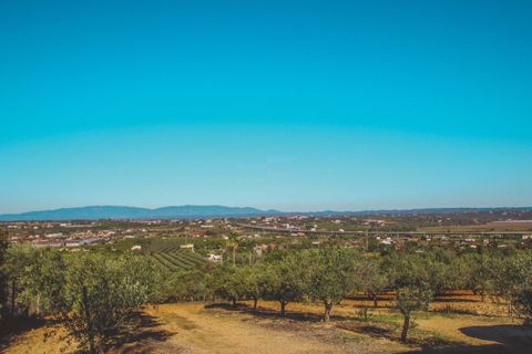 Farm hus i Lagoa, Faro, Lagoa - € 1.400.000 | Ref: BAP-45 - foto 24