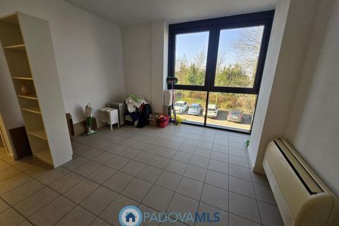 Erhvervsejendom i Vigonza, Padua, Vigonza - € 105.000 | Ref: c03 - MLS1693-1199 - foto 5