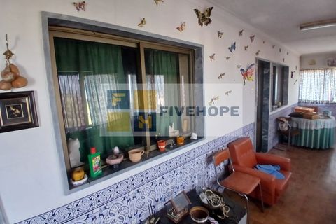 Villa i Lousa, Coimbra, Lousa - € 575.000 | Ref: HAB_167 - foto 26