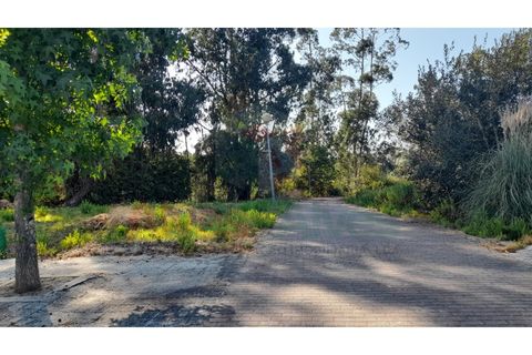 Terra a Folgosa, Porto, Folgosa - € 93.000 | Ref: 5386 (30) - foto 4