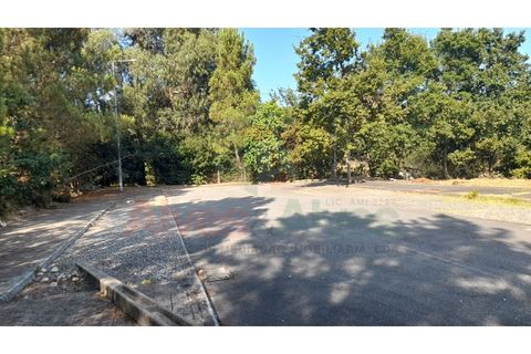 Terra a Folgosa, Porto, Folgosa - € 93.000 | Ref: 5386 (30) - foto 2