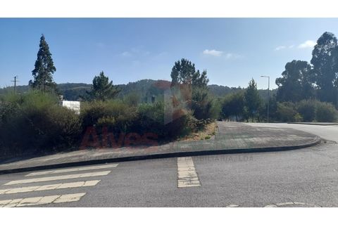Terra a Folgosa, Porto, Folgosa - € 93.000 | Ref: 5386 (30) - foto 5