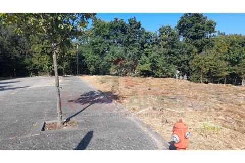 Terra a Folgosa, Porto, Folgosa - € 93.000 | Ref: 5386 (30) - foto 6