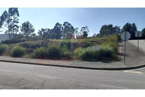Terra a Folgosa, Porto, Folgosa - € 93.000 | Ref: 5386 (30) - foto 7
