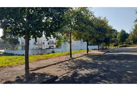 Terra a Folgosa, Porto, Folgosa - € 93.000 | Ref: 5386 (30) - foto 9