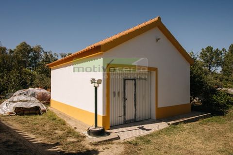 Farm i Coruche, Santarem, Coruche - € 485.000 | Ref: 17/25 - foto 26