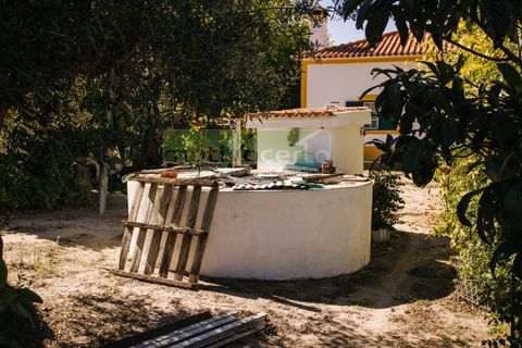 Farm i Coruche, Santarem, Coruche - € 485.000 | Ref: 17/25 - foto 28