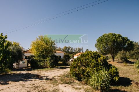 Farm i Coruche, Santarem, Coruche - € 485.000 | Ref: 17/25 - foto 30