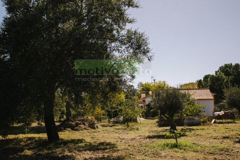 Farm i Coruche, Santarem, Coruche - € 485.000 | Ref: 17/25 - foto 34