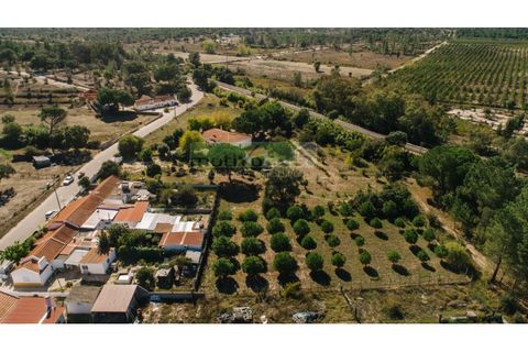Farm i Coruche, Santarem, Coruche - € 485.000 | Ref: 17/25 - foto 35
