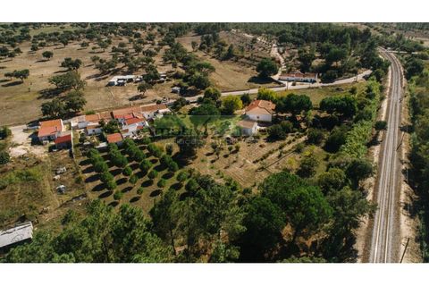 Farm i Coruche, Santarem, Coruche - € 485.000 | Ref: 17/25 - foto 37