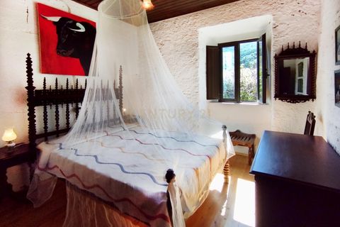 Farm hus i Monchique, Faro, Monchique - € 950.000 | Ref: C0240-02829 - foto 16