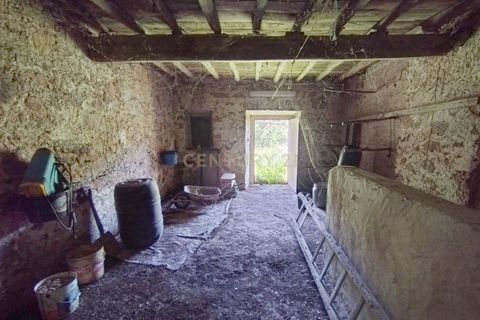 Farm hus i Monchique, Faro, Monchique - € 950.000 | Ref: C0240-02829 - foto 29