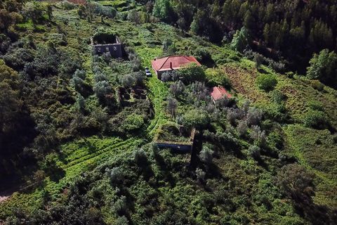 Farm hus i Monchique, Faro, Monchique - € 950.000 | Ref: C0240-02829 - foto 35