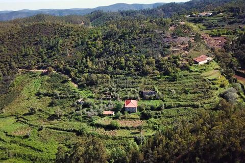 Farm hus i Monchique, Faro, Monchique - € 950.000 | Ref: C0240-02829 - foto 36