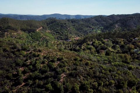 Farm hus i Monchique, Faro, Monchique - € 950.000 | Ref: C0240-02829 - foto 37