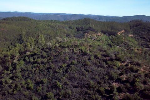 Farm hus i Monchique, Faro, Monchique - € 950.000 | Ref: C0240-02829 - foto 38