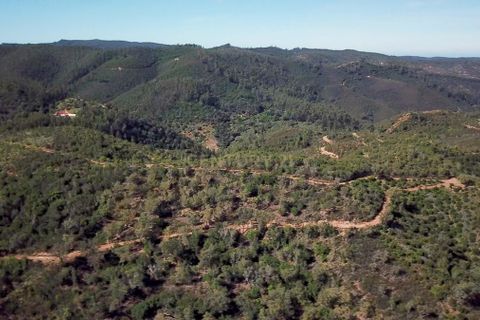 Farm hus i Monchique, Faro, Monchique - € 950.000 | Ref: C0240-02829 - foto 39