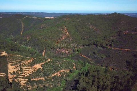 Farm hus i Monchique, Faro, Monchique - € 950.000 | Ref: C0240-02829 - foto 40