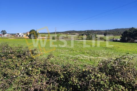 Helårsgrund i Torres Vedras, Lisbon, Torres Vedras - € 79.000 | Ref: 5441WT - foto 4