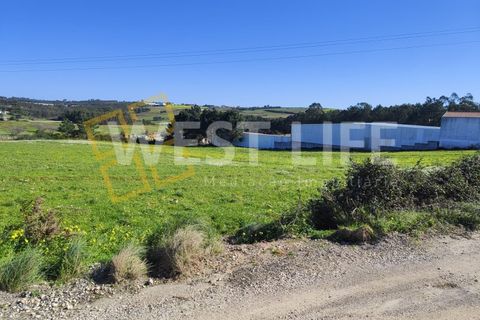 Helårsgrund i Torres Vedras, Lisbon, Torres Vedras - € 79.000 | Ref: 5441WT - foto 5