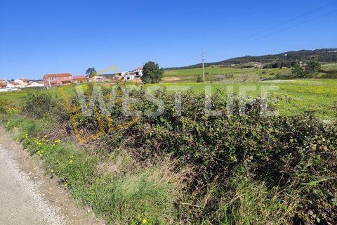 Helårsgrund i Torres Vedras, Lisbon, Torres Vedras - € 79.000 | Ref: 5441WT - foto 7