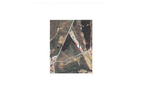 Helårsgrund i Torres Vedras, Lisbon, Torres Vedras - € 79.000 | Ref: 5441WT - foto 20