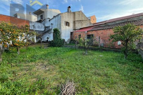 Villa i Castelo Branco, Castelo Branco, Castelo Branco - € 70.000 | Ref: 4828 - foto 22