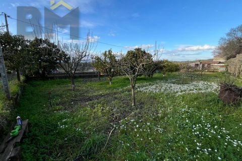Villa i Castelo Branco, Castelo Branco, Castelo Branco - € 70.000 | Ref: 4828 - foto 23