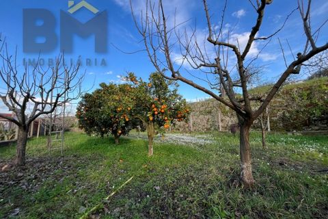 Villa i Castelo Branco, Castelo Branco, Castelo Branco - € 70.000 | Ref: 4828 - foto 24
