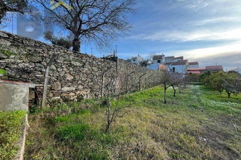 Villa i Castelo Branco, Castelo Branco, Castelo Branco - € 70.000 | Ref: 4828 - foto 25