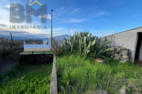 Villa i Castelo Branco, Castelo Branco, Castelo Branco - € 70.000 | Ref: 4828 - foto 26