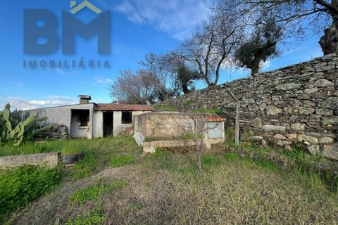 Villa i Castelo Branco, Castelo Branco, Castelo Branco - € 70.000 | Ref: 4828 - foto 27