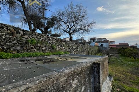 Villa i Castelo Branco, Castelo Branco, Castelo Branco - € 70.000 | Ref: 4828 - foto 30