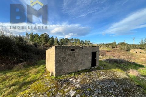 Helårsgrund i Castelo Branco, Castelo Branco, Castelo Branco - € 15.000 | Ref: 4829 - foto 2