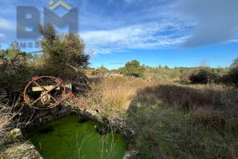 Helårsgrund i Castelo Branco, Castelo Branco, Castelo Branco - € 15.000 | Ref: 4829 - foto 4