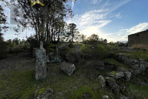 Helårsgrund i Castelo Branco, Castelo Branco, Castelo Branco - € 15.000 | Ref: 4829 - foto 5