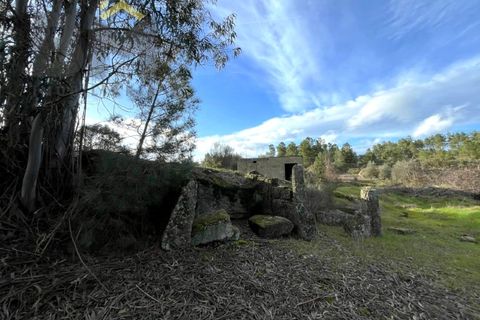 Helårsgrund i Castelo Branco, Castelo Branco, Castelo Branco - € 15.000 | Ref: 4829 - foto 6