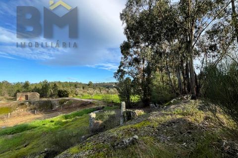 Helårsgrund i Castelo Branco, Castelo Branco, Castelo Branco - € 15.000 | Ref: 4829 - foto 7