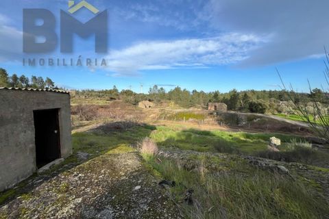 Helårsgrund i Castelo Branco, Castelo Branco, Castelo Branco - € 15.000 | Ref: 4829 - foto 8