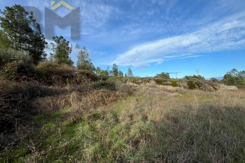 Helårsgrund i Castelo Branco, Castelo Branco, Castelo Branco - € 15.000 | Ref: 4829 - foto 9