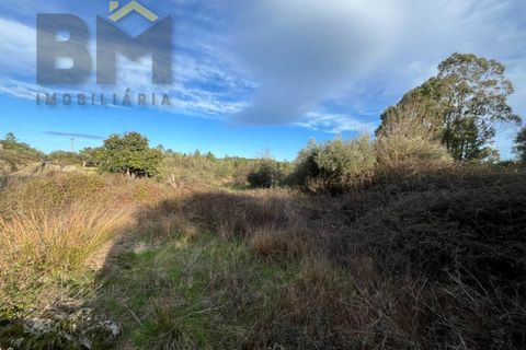 Helårsgrund i Castelo Branco, Castelo Branco, Castelo Branco - € 15.000 | Ref: 4829 - foto 11