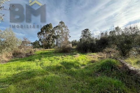 Helårsgrund i Castelo Branco, Castelo Branco, Castelo Branco - € 15.000 | Ref: 4829 - foto 12