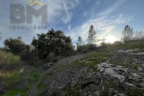 Helårsgrund i Castelo Branco, Castelo Branco, Castelo Branco - € 15.000 | Ref: 4829 - foto 13