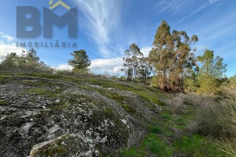 Helårsgrund i Castelo Branco, Castelo Branco, Castelo Branco - € 15.000 | Ref: 4829 - foto 14