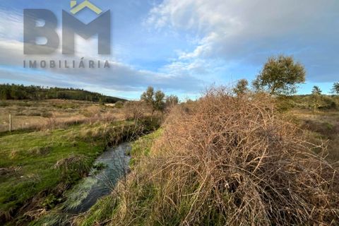 Helårsgrund i Castelo Branco, Castelo Branco, Castelo Branco - € 7.750 | Ref: 4826 - foto 11