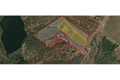 Helårsgrund i Abrantes, Santarem, Abrantes - € 55.000 | Ref: SÒL_58 - foto 2