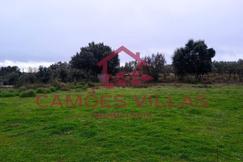 Helårsgrund i Abrantes, Santarem, Abrantes - € 55.000 | Ref: SÒL_58 - foto 6