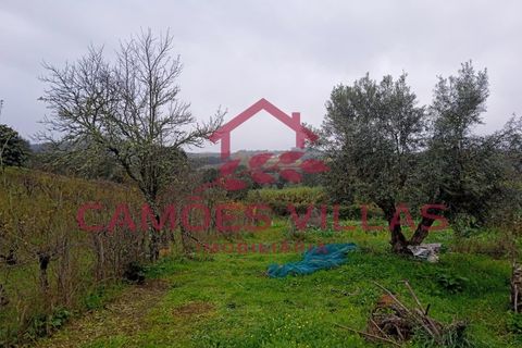 Helårsgrund i Abrantes, Santarem, Abrantes - € 55.000 | Ref: SÒL_58 - foto 8