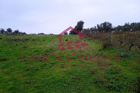Helårsgrund i Abrantes, Santarem, Abrantes - € 55.000 | Ref: SÒL_58 - foto 9